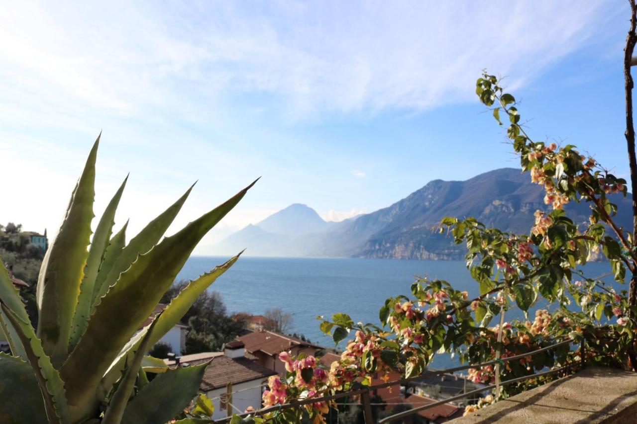 Le Due Terrazze Villa Brenzone sul Garda Esterno foto