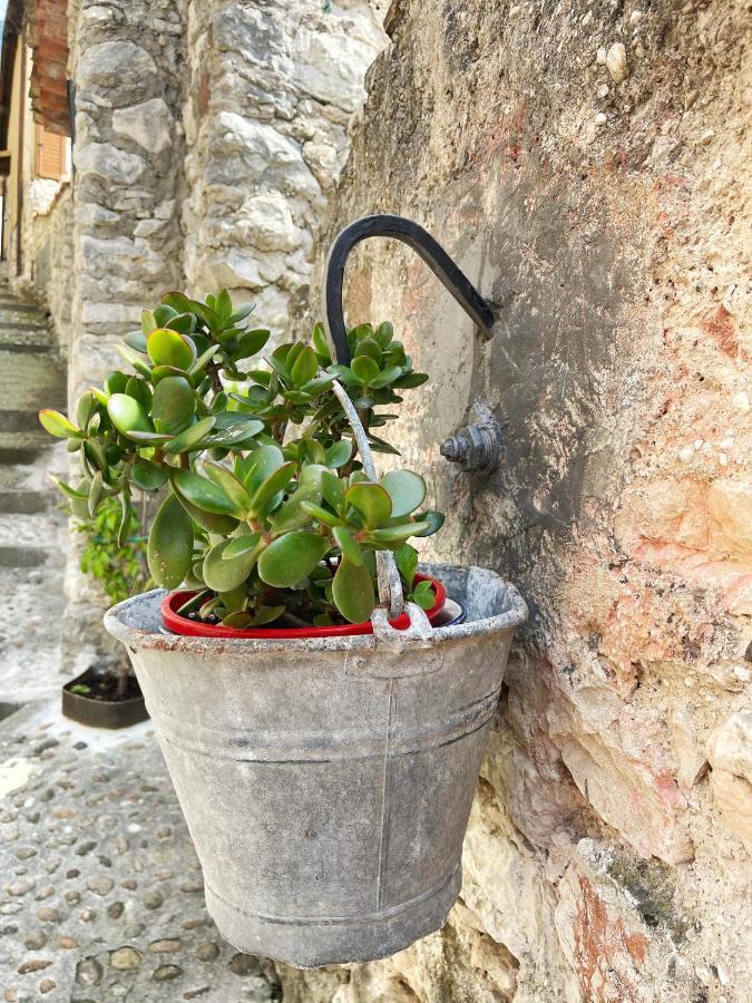 Le Due Terrazze Villa Brenzone sul Garda Esterno foto