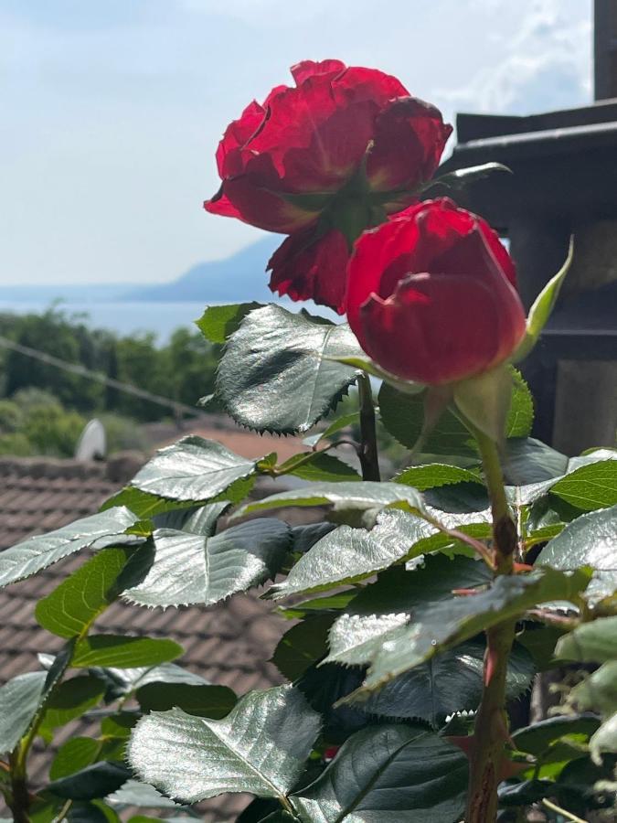 Le Due Terrazze Villa Brenzone sul Garda Esterno foto