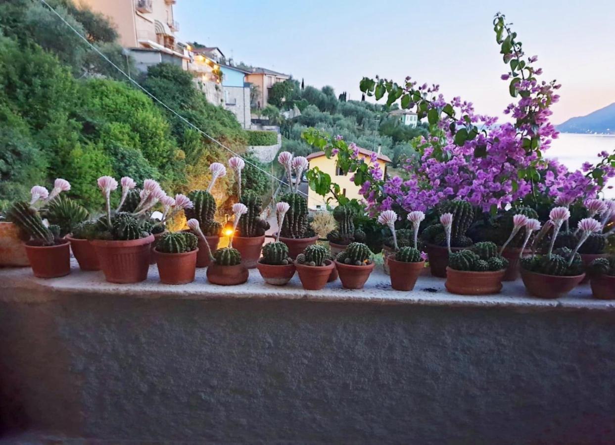 Le Due Terrazze Villa Brenzone sul Garda Esterno foto