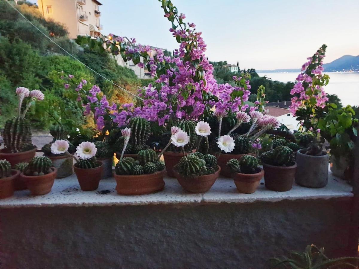 Le Due Terrazze Villa Brenzone sul Garda Esterno foto