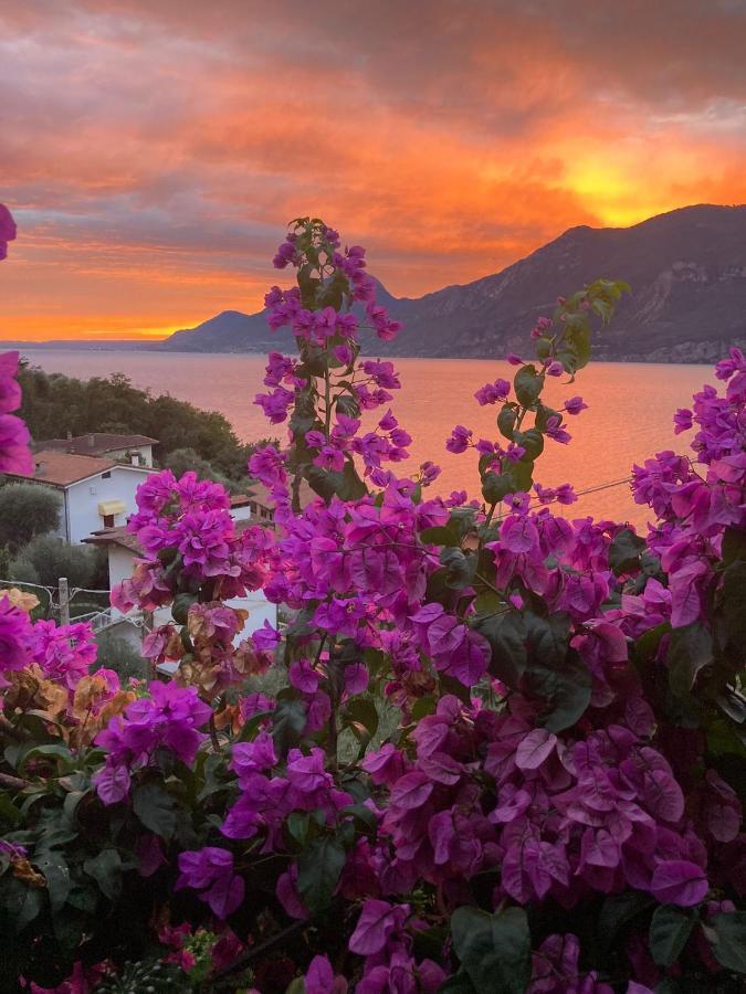 Le Due Terrazze Villa Brenzone sul Garda Esterno foto